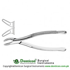 Hull American Pattern Tooth Extracting Forcep Fig. 101 (For Upper and Lower Premolars) Stainless Steel, Standard